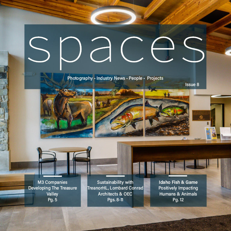 SPACES Issue 8 Cover