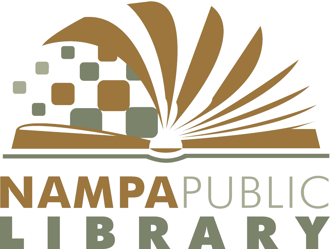 nampa public library