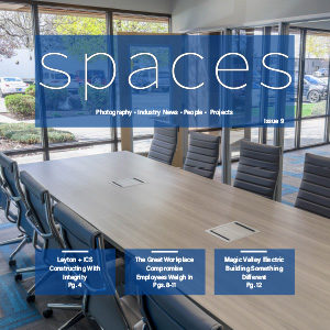 Spaces Issue 9 300x cover